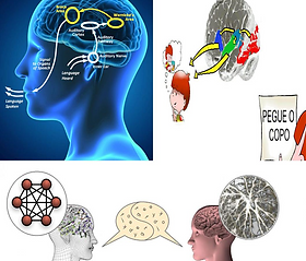 This course presents the neurophysiology of verbal language as well as its semantic and grammatical structure and how this human capacity for communication generates a social environment of imaginations and ideas shared in time and space. It addresses the phenomenon of writing and presents the neural mechanisms of reading, explaining the different difficulties presented by people with dyslexia. It proposes methodologies and educational activities to assist in the learning of literacy. These activities are discussed with participants in online workshops.