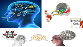 This course presents the neurophysiology of verbal language as well as its semantic and grammatical structure and how this human capacity for communication generates a social environment of imaginations and ideas shared in time and space. It addresses the phenomenon of writing and presents the neural mechanisms of reading, explaining the different difficulties presented by people with dyslexia. It proposes methodologies and educational activities to assist in the learning of literacy. These activities are discussed with participants in online workshops.