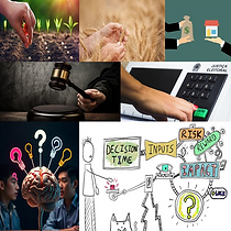 Neuro-Economics
