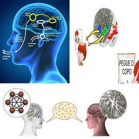 Postagens > Linguagem | Neurociência Cultura Educação |