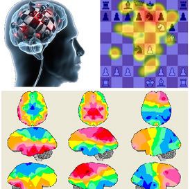 Neurociência e Cognição
