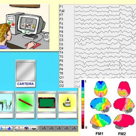 Artigos e Materiais sobre Neurociências e Educação