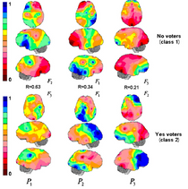 votersbrainmaps.png