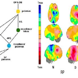 Avaliação Neuro-Cognitiva