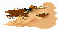 c13.bmp