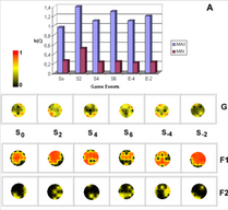 Vendo, Lendo e Imaginando
